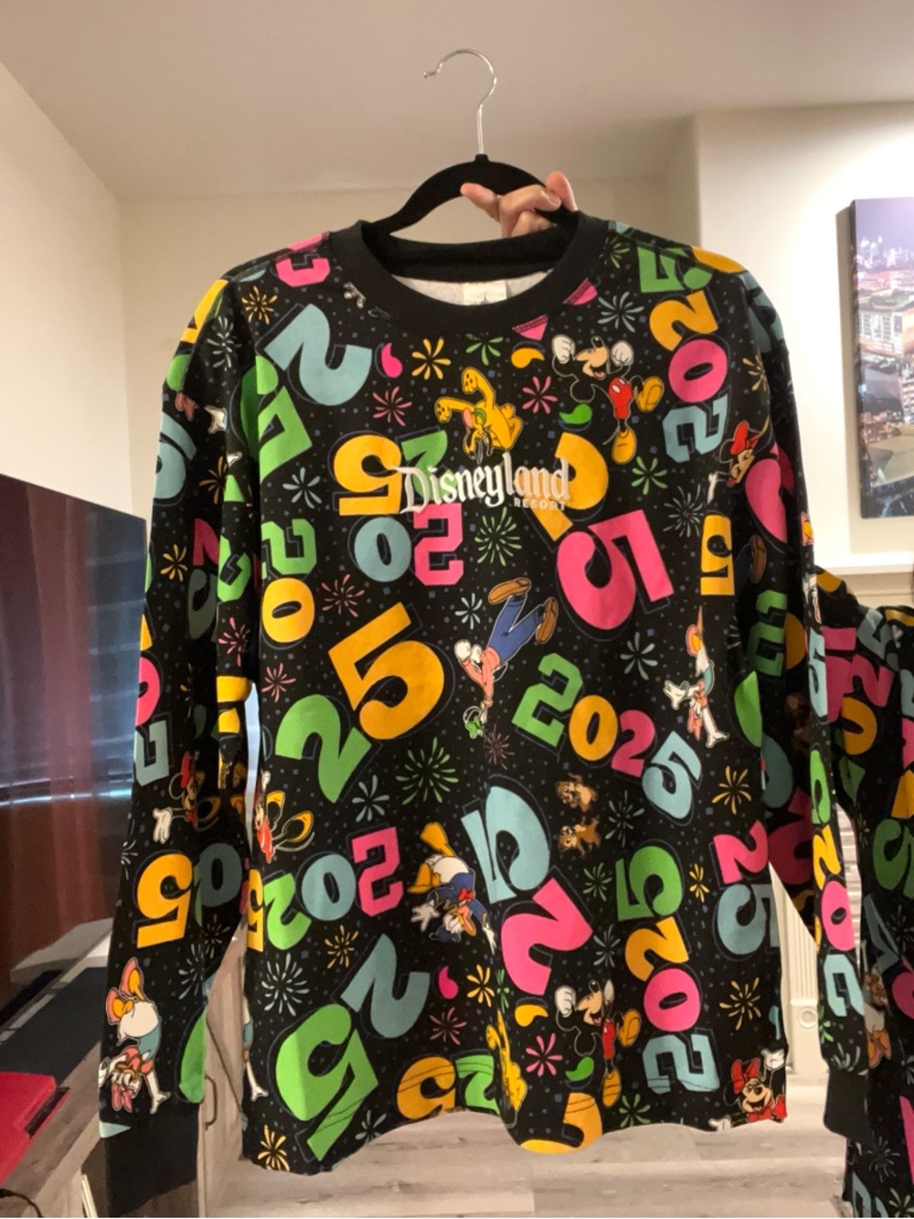 Disney 2025 Black Multicolor Graphic Sweatshirt for Unisex